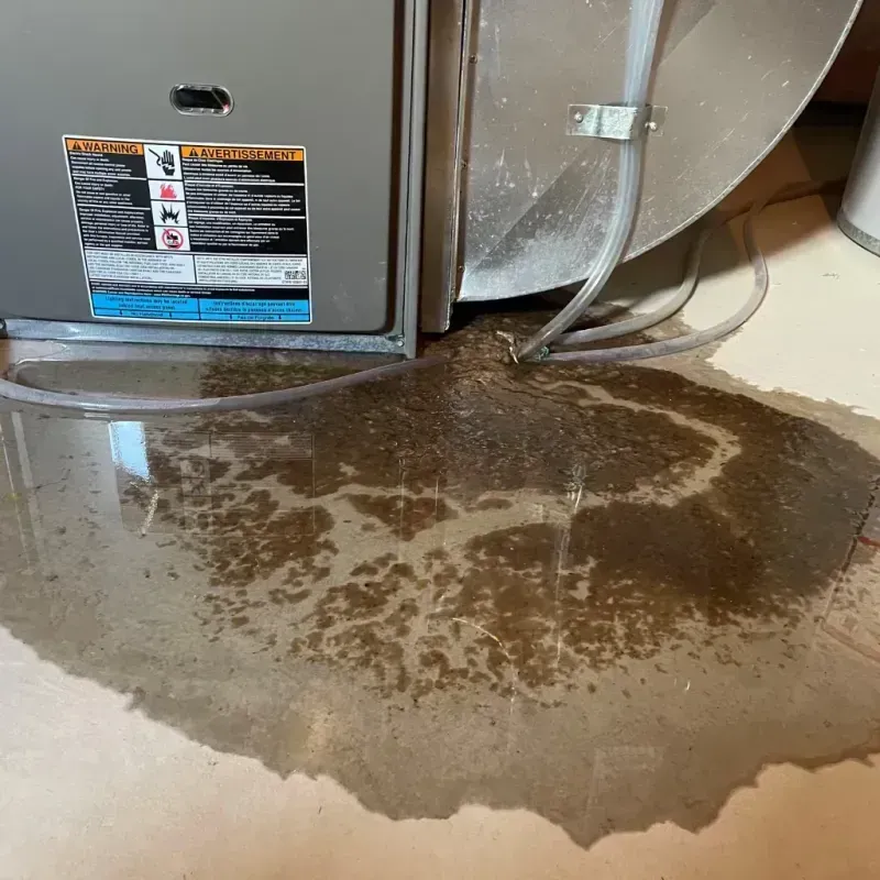 Appliance Leak Cleanup in Seal Beach, CA